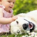 赴泰试管婴儿必看：bnh和ibaby(爱宝贝)医院对比介绍