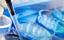 邯郸哪些医院可以做试管婴儿？