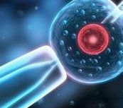 十堰第一人民医院生殖科考虑做试管婴儿，哪位主任更好