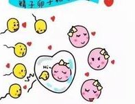 上海公立医院和私立医院做试管费用相差大吗上海试管婴儿的费用是多少？