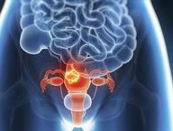 做试管想要一次性成功，优胚移植成功率可作了解