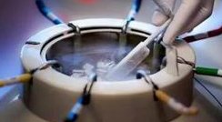 泰国第三代试管婴儿解决遗传性不孕