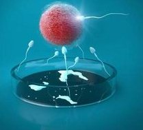 浙江哪里做试管婴儿？杭州哪些医疗机构提供试管婴儿服务？试管婴儿需要注意哪些问题？