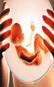 试管婴儿费用（试管婴儿费用大概要多少钱）