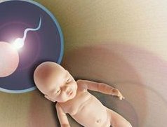 湖南省人民医院试管婴儿费用揭秘：单次怀孕价格亲民！