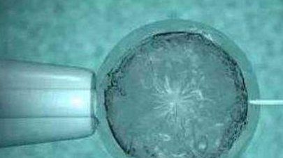 哈尔滨市红十字中心医院做三代试管成功率如何？一文读懂需要花多少钱