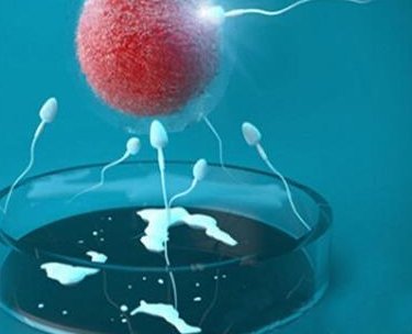 厦门试管婴儿医院成功率排名？附试管婴儿机构明细？