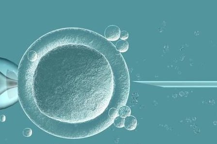 详诉未婚怀孕女方坚持生下来会怎样，影响上户别不知道